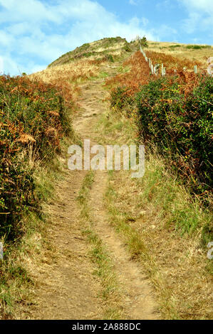 Ripido percorso di erba fino alla cima di una collina sulla Ceredigion sentiero costiero a piedi, parte di tutti Wales coast Path, REGNO UNITO Foto Stock