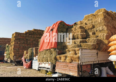 Asciugare le balle di fieno. Balle di fieno sono accatastati in pile di grandi dimensioni. La raccolta in agricoltura.balle di fieno. Balle di fieno sono impilati sulla fattoria in pile di grandi dimensioni. Harve Foto Stock