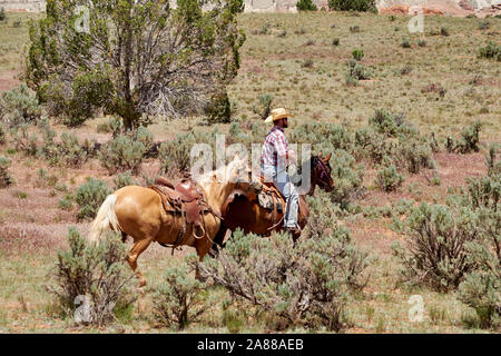 I cowboys sentito vacche attraverso la gamma in grande scala Escalante, Utah, Stati Uniti d'America Foto Stock