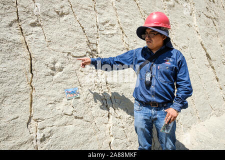 Guida durante la visita a guardare i dinosauri le vie nel Parque Cretácico o Cretaceo Park aka Cal Orck"o in Sucre, Bolivia Foto Stock