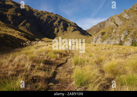 Highland Creek capanna. Te Araroa Trail. Motatapu Via Alpina. Isola del Sud. Nuova Zelanda Foto Stock