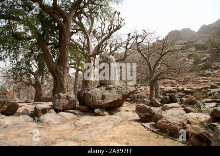 Paese Dogon : villaggio di Tiogou (Bandiagara scarpata) Foto Stock