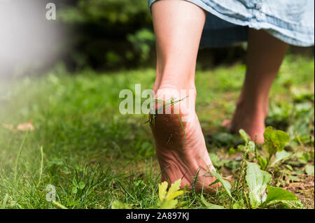 Donna che cammina a piedi nudi sull'erba Foto Stock