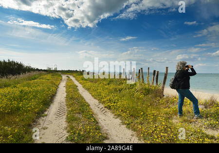 Birdwatching sulle rive del fiume Sado. Alcácer do Sal, Portogallo Foto Stock