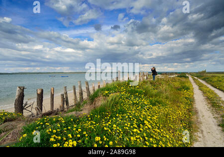 Birdwatching sulle rive del fiume Sado. Alcácer do Sal, Portogallo Foto Stock