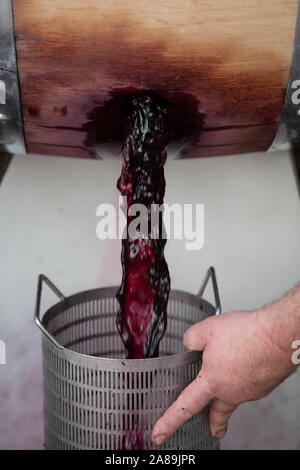 Movimento lento del Giallo bottiglia spray a gocce su sfondo nero Foto Stock