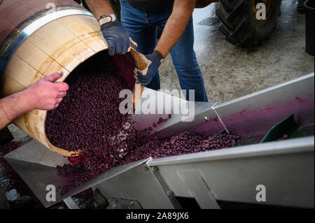 Movimento lento del Giallo bottiglia spray a gocce su sfondo nero Foto Stock