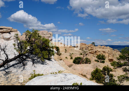 Il vertice di arenaria di El Morro monumento nazionale nel NW del New Mexico. El Morro è lo spagnolo per la capezzagna. Foto Stock