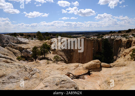 Il vertice di arenaria di El Morro monumento nazionale nel NW del New Mexico. El Morro è lo spagnolo per la capezzagna. Foto Stock