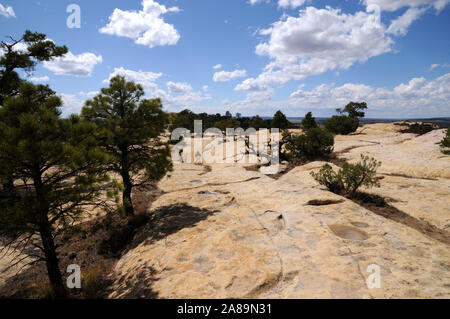 Il vertice di arenaria di El Morro monumento nazionale nel NW del New Mexico. El Morro è lo spagnolo per la capezzagna. Foto Stock