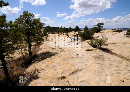 Il vertice di arenaria di El Morro monumento nazionale nel NW del New Mexico. El Morro è lo spagnolo per la capezzagna. Foto Stock