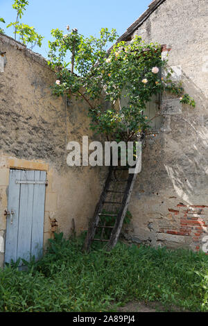 Angolo di un giardino, Francia Foto Stock