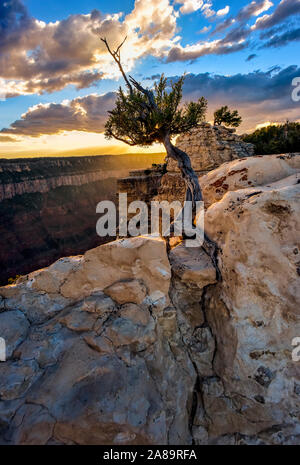 Il North Rim del Grand Canyon paesaggio Foto Stock