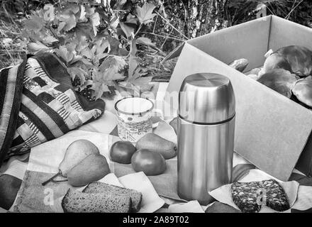 La prima colazione nel bosco durante la raccolta di funghi. Immagine in bianco e nero Foto Stock