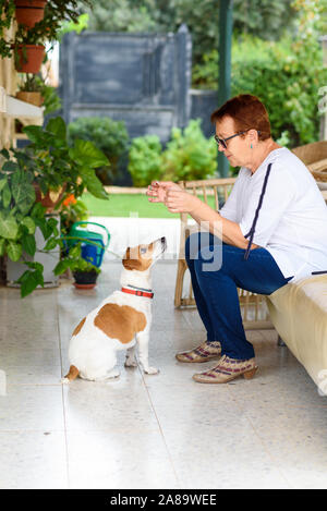 Senior donna con il suo cane nel giardino sul retro. Allegro positivo vecchia donna giocando con il suo amato cane Jack Russell Terrier nel cortile della sua casa di campagna su una soleggiata giornata estiva. Foto Stock