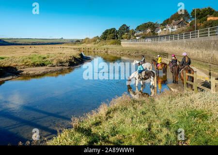 Percorsi per Pony a bassa marea sul Gannel Estuary in Newquay in Cornovaglia. Foto Stock