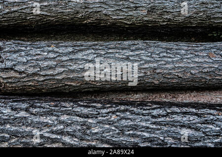 Woodpile, Oberweser, Superiore Valle Weser, Weser Uplands, Hesse, Germania, Europa Foto Stock