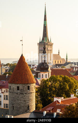 Vista della città vecchia di Tallinn, Estonia dalla piattaforma panoramica Patkuli Foto Stock