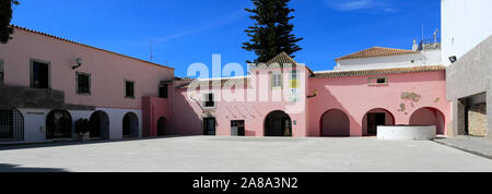 Vista estiva del Convento do Espirito Santo e del torreggiante Norfolk Pino, Loule town, Algarve, Portogallo, Europa Foto Stock