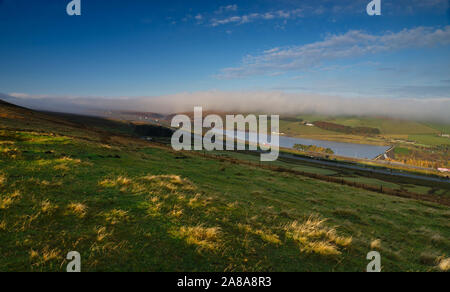 Stott Hall Farm, Stand serbatoio di legno & M62 nella nebbia e la nebbia dal B6114 Saddleworth Road nr Moselden Scammonden altezza Foto Stock