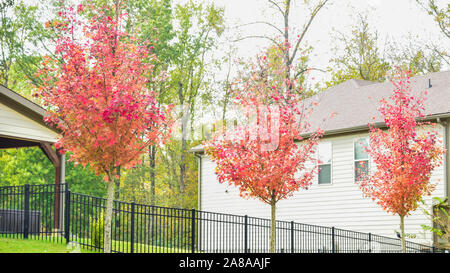 Colori autunnali intorno Tega Cay e Fort Mill SC Foto Stock