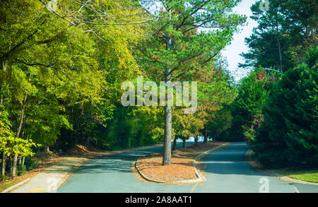 Colori autunnali intorno Tega Cay e Fort Mill SC Foto Stock