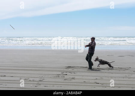 L'uomo gettando stick per il cane sulla costa di Washington, beach dog che saltava, signor Foto Stock