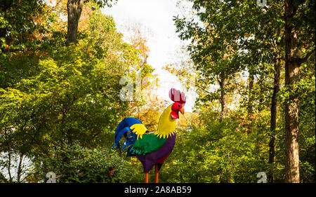 Colori autunnali intorno Tega Cay e Fort Mill SC Foto Stock