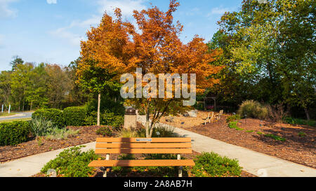 Colori autunnali intorno Tega Cay e Fort Mill SC Foto Stock