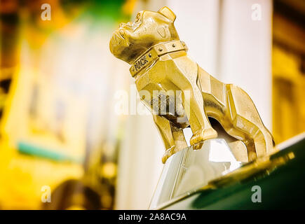 Un bulldog oro ornamento del cofano corre sul cofano di un 1986 Mack roll-off carrello a rifiuti Pro, Marzo 18, 2016 in Sanford, Florida. Foto Stock