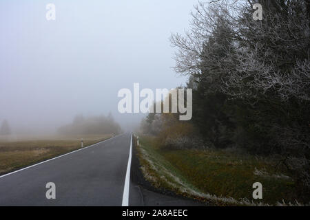 Alberi ghiacciati , autostrada ed erba su una nebbia giornata invernale in Alta Rhön, Baviera, Germania Foto Stock