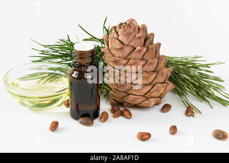 Isolare, la composizione, la bottiglia di vetro con olio, Pigna, dadi e cedro ramo su sfondo bianco Foto Stock