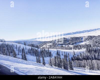 Montagna coperta di neve e alberi in Jackson Hole, Wyoming Foto Stock
