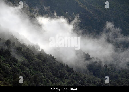 Una leggera nebulizzazione rotoli attraverso un West Coast in montagna la mattina presto Foto Stock