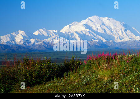 Paesaggio con coperte di neve Monte McKinley, Parco Nazionale di Denali, Alaska, STATI UNITI D'AMERICA Foto Stock