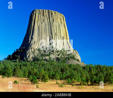 Paesaggio con formazione di roccia chiamato Devils Tower, Wyoming USA Foto Stock
