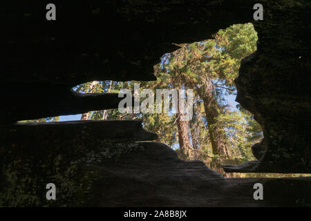 Kings Canyon National Park, in California Foto Stock