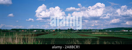 Nuvole sopra i campi, Holland Marsh, Ontario, Canada Foto Stock