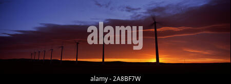 Silhouette di mulini a vento in un campo, Cowley Wind Farm, Cowley, Alberta, Canada Foto Stock