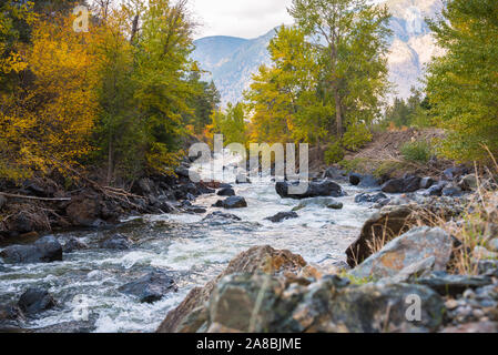 Fiume che scorre attraverso la foresta in ottobre, con foglie di autunno a colori, al tramonto Foto Stock