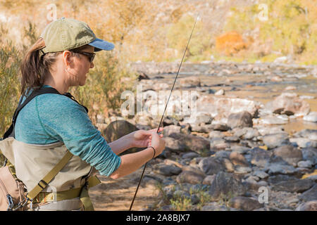 Una donna che prepara la sua canna da pesca con la linea e un gancio come ella capi sulla Poudre fiume per un pomeriggio di pesca. Foto Stock