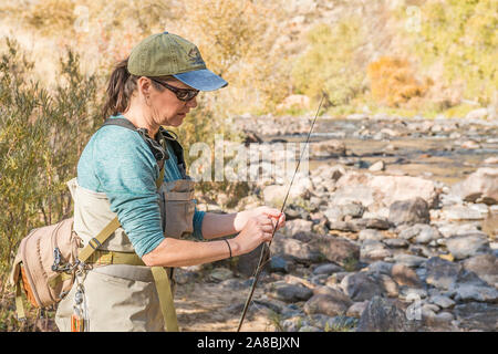 Una donna che prepara la sua canna da pesca con la linea e un gancio come ella capi sulla Poudre fiume per un pomeriggio di pesca. Foto Stock