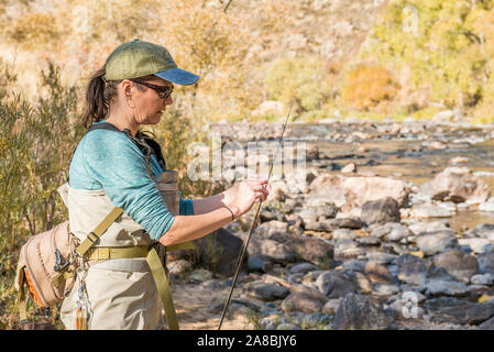 Una donna che prepara la sua canna da pesca con la linea e un gancio come ella capi sulla Poudre fiume per un pomeriggio di pesca. Foto Stock