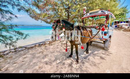 Un decorato cavallo carrello noto come un cidomo, su Gili Meno Isola in provincia di Lombok, Indonesia. Veicoli motorizzati sono vietati nelle isole Gili. Foto Stock
