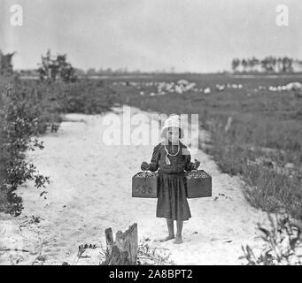 Rose Biodo, Philadelphia, 10 anni. 3 estati, menti baby e porta frutti di bosco, due pecks in corrispondenza di un tempo, Settembre 1910 Foto Stock