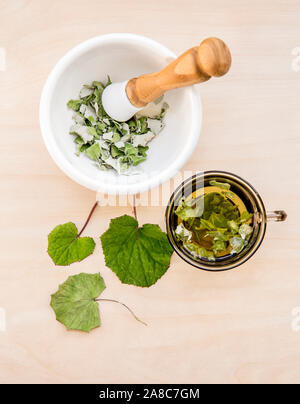 Tussilago farfarfara essiccato (tosse, pianta di cenere, farfarfarfara) comunemente noto come coltsfoot creduto essere rimedio naturale alla tosse. Bicchiere da tè con foglie fresche, Foto Stock