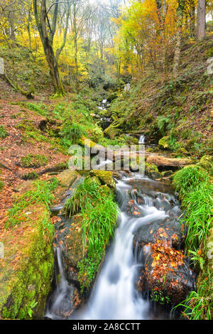 Autunno in Hardcastle Crags, Hebden Bridge, West Yorkshire Foto Stock