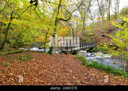 Autunno in Hardcastle Crags, Hebden Bridge, West Yorkshire Foto Stock