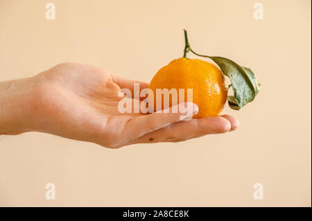 Maschio di mano trattiene il mandarino su sfondo chiaro. Foto Stock