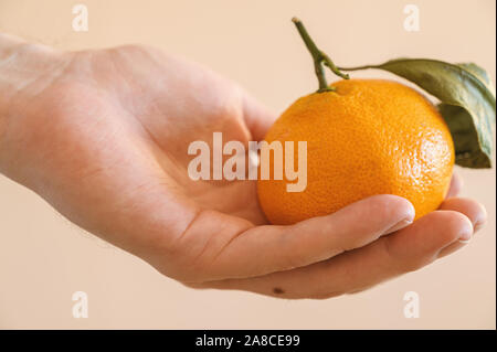 Maschio di mano trattiene il mandarino su sfondo chiaro. Foto Stock